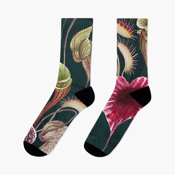 Item preview, Carnivorous plants floral watercolor print. Pelican flower, Venus Flytrap. Exotic flowers botanical illustration. designed and sold by likapix.