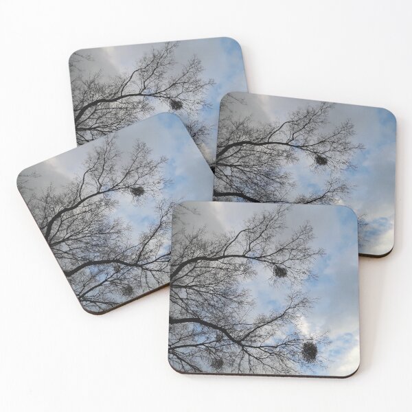 Item preview, Bare branches and crows' nests against a blue spring sky, Bratislava designed and sold by icomeinpeace2.