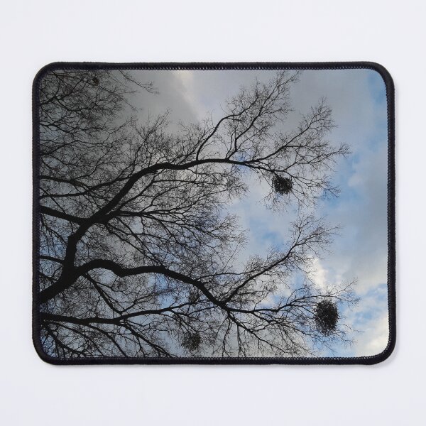 Item preview, Bare branches and crows' nests against a blue spring sky, Bratislava designed and sold by icomeinpeace2.