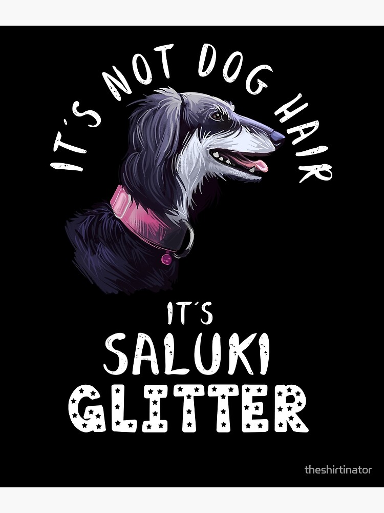 Saluki 2024 in not