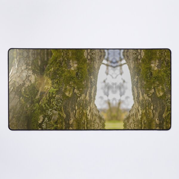 Item preview, Mossy Tree with Sun Flare designed and sold by Courtney Matulewicz.
