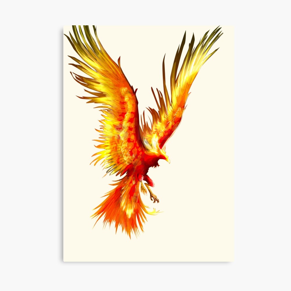 Fiery Phoenix Bird Art : TRENDING Fiery Phoenix Bird Art : TRENDING