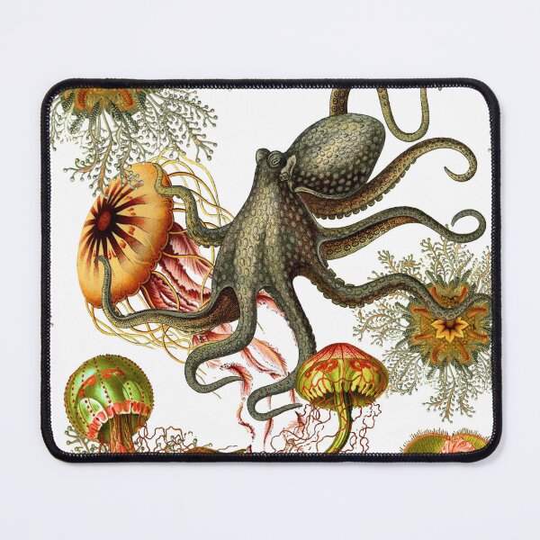 Item preview, Octopus white designed and sold by WondrousStrange Designs.