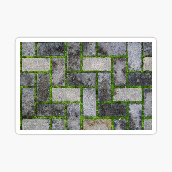 Moss green Sticker