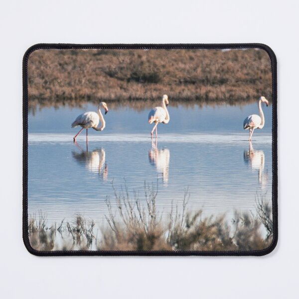 Item preview, Flamingos designed and sold by James Rutherford.