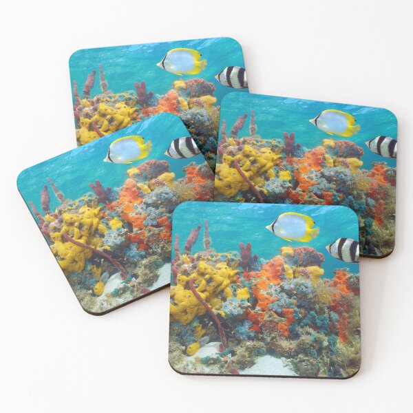 Item preview, Colorful sea life underwater sponges with tropical fish Caribbean sea designed and sold by Seaphotoart.