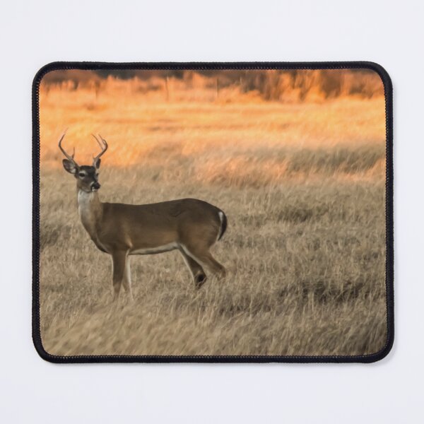 Item preview, Buck In The Field designed and sold by PurteePhotos.
