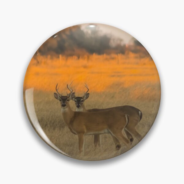 Item preview, Double The Bucks designed and sold by PurteePhotos.