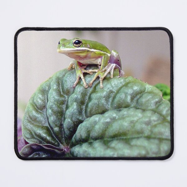Item preview, new orleans frog designed and sold by kristana.