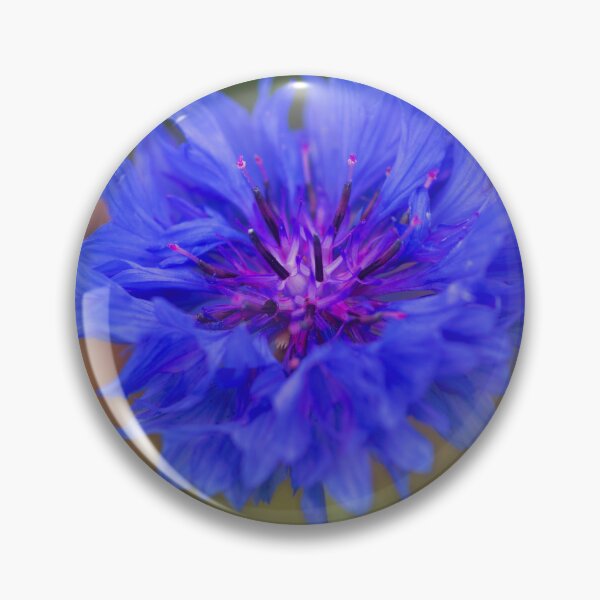 Item preview, Bachelor Button designed and sold by onepony.