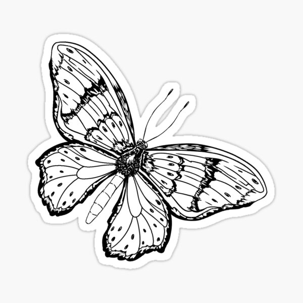 "Butterfly drawing" Sticker for Sale by strawvision Redbubble