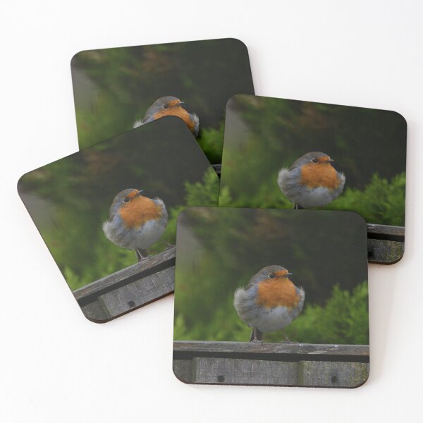 Item preview, Best Dressed Robin designed and sold by ClaireChown.