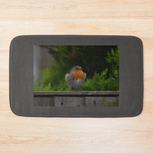 Item preview, Best Dressed Robin designed and sold by ClaireChown.
