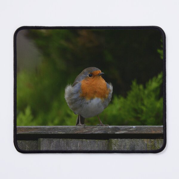 Item preview, Best Dressed Robin designed and sold by ClaireChown.
