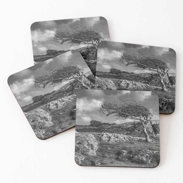 Item preview, Windswept designed and sold by Raymond Kerr.