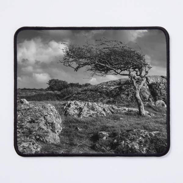 Item preview, Windswept designed and sold by Raymond Kerr.