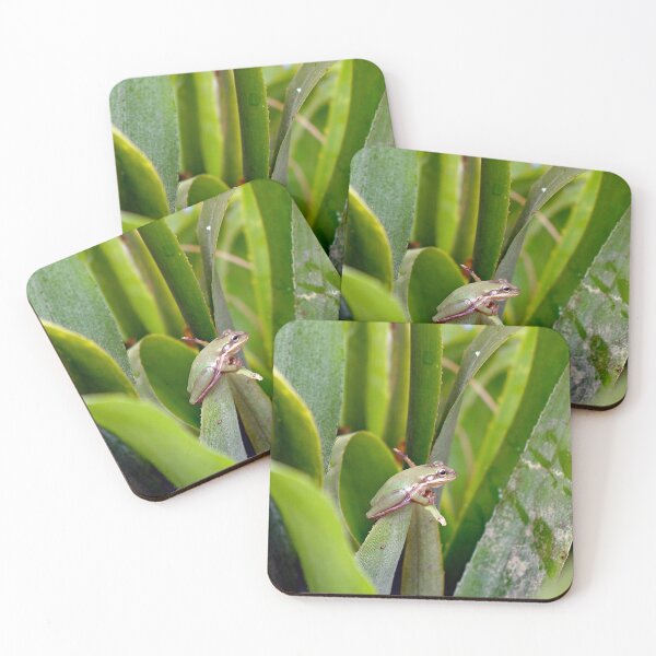 Item preview, bromeliad with frog designed and sold by kristana.