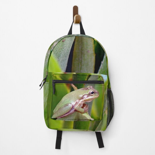 Item preview, bromeliad with frog designed and sold by kristana.
