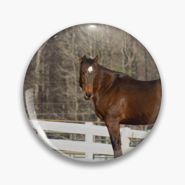 Item preview, bay horse designed and sold by sarelitay.