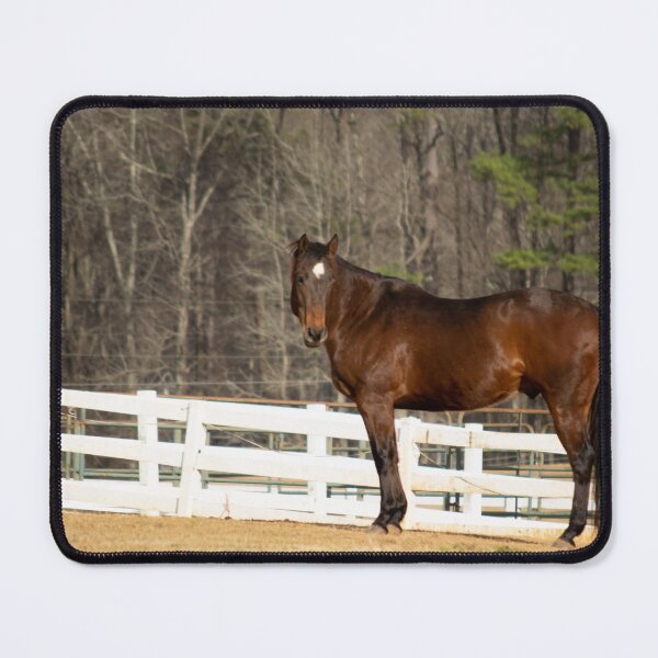 Item preview, bay horse designed and sold by sarelitay.