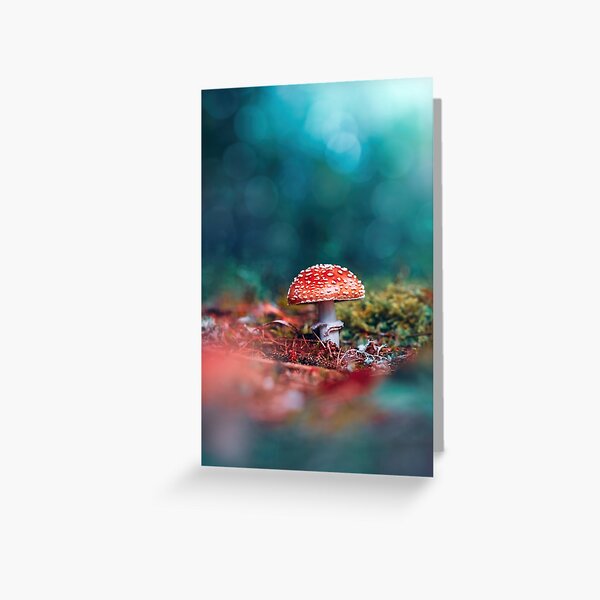 Macro of a red fly agaric mushroom against blue background with bokeh Greeting Card