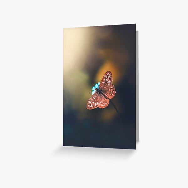 Macro of a butterfly on blue forget me not flowers. Dreamy scenery with magical light and blur Greeting Card