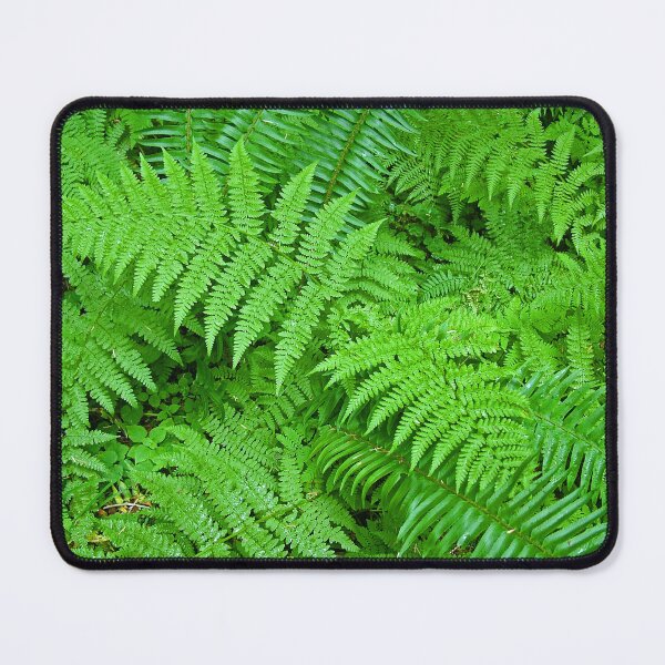 Item preview, Ferns of Washington designed and sold by Slh69.