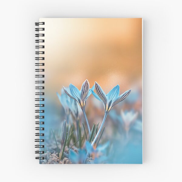 Item preview, Macro of two light blue striped crocus flowers on orange magical scenery with blur, bokeh and magical floating elements designed and sold by macroviewpoint.