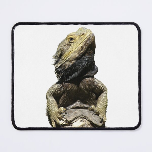 Item preview, Bearded Dragon designed and sold by RN85.