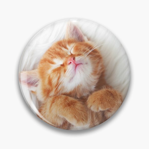 Item preview, Sleepy Kitten designed and sold by AllMyLoveZoe.