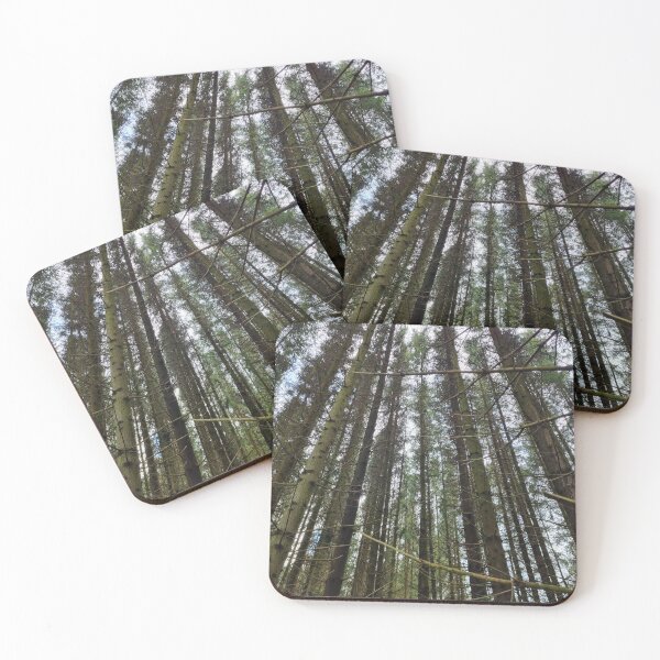 Item preview, Up View Of The Pine Forest designed and sold by Kate-P-.