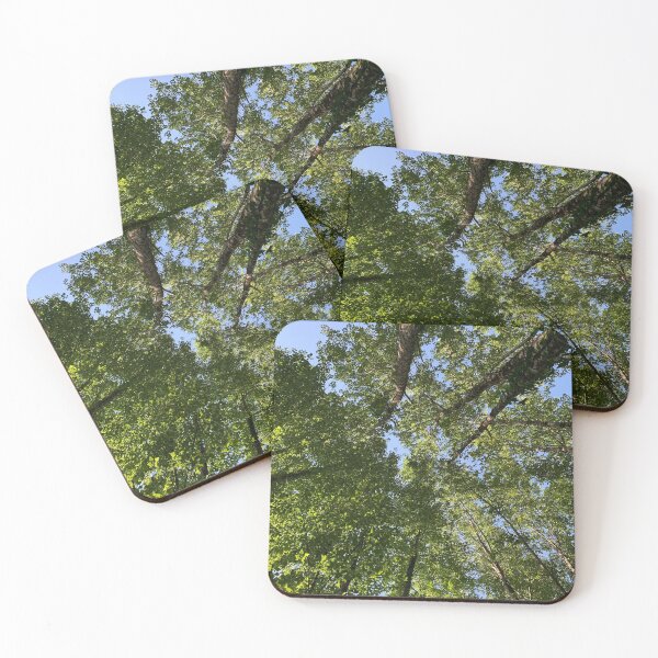 Item preview, Fraga galega designed and sold by Galitenda.