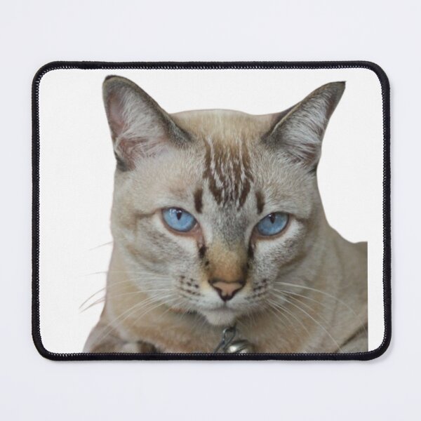 Item preview, HERMOSO GATO GRIS CON OJOS AZULES designed and sold by giantstep.
