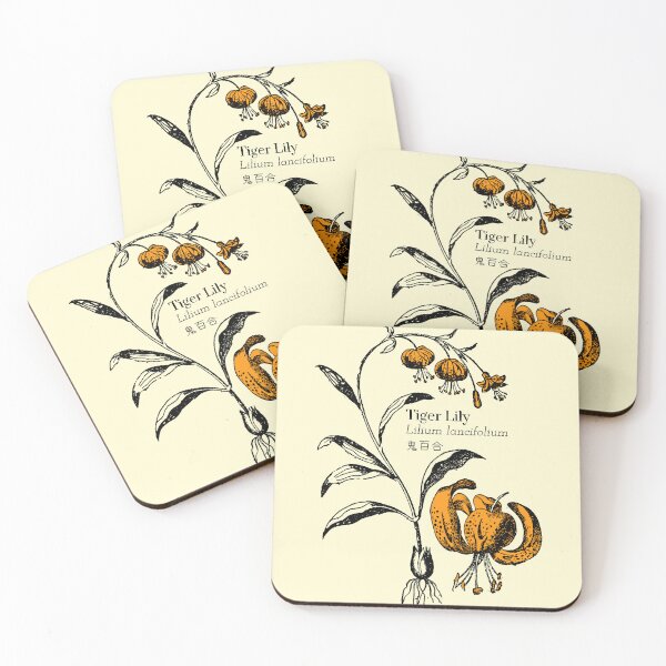 Item preview, Tiger Lily Lilium lancifolium 鬼百合 Flower Scientific Nature Japanese designed and sold by Snoot-Store.