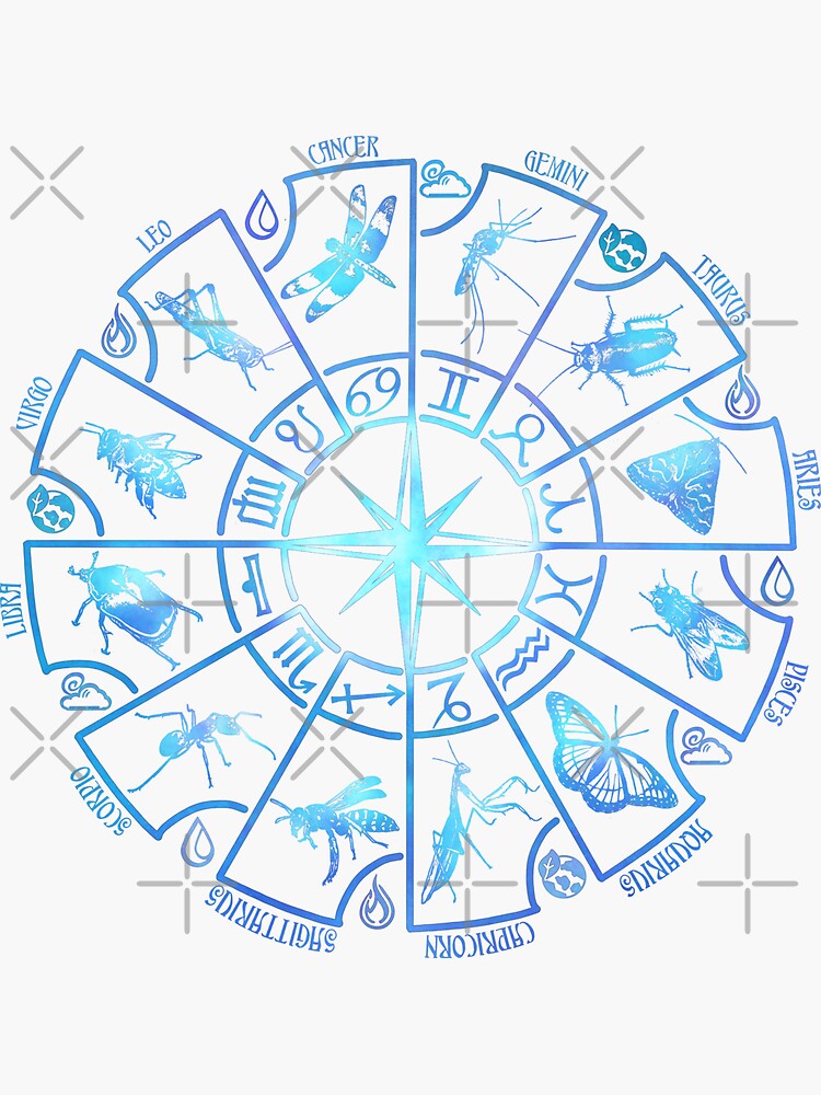 "Insect Zodiac Chart" Sticker by BeautyBugHub Redbubble