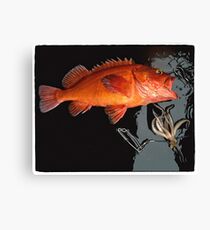 Red Snapper and Squid Canvas Print