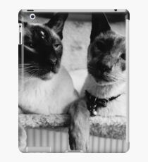 Vinilo o funda para iPad Los bigotes de los gatos