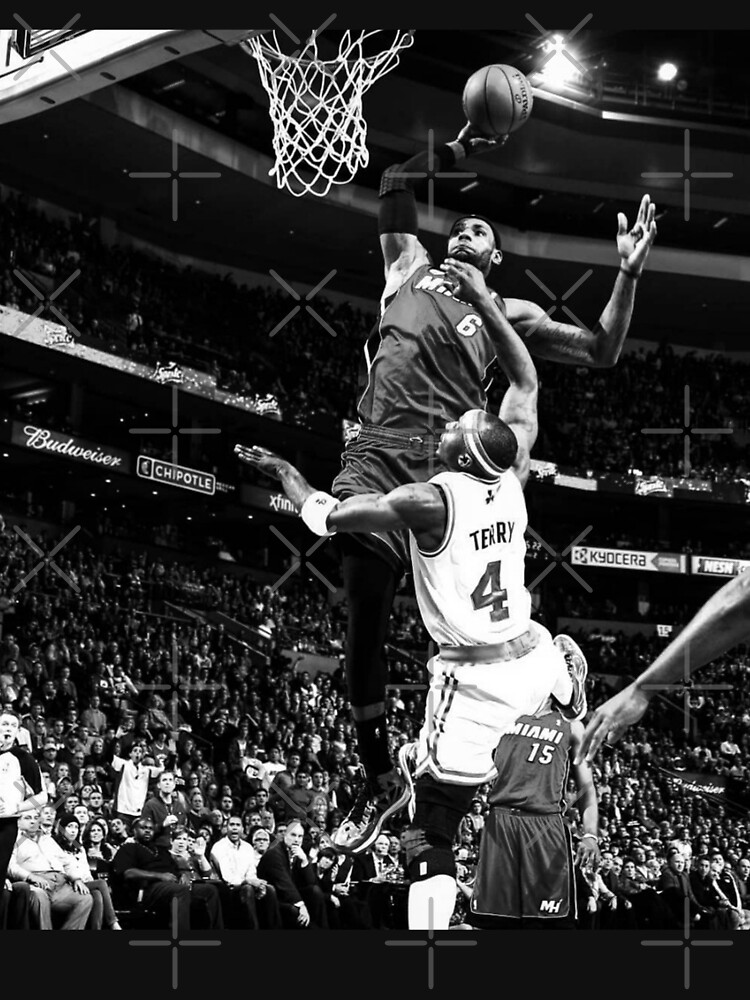 Lebron james best sale black and white