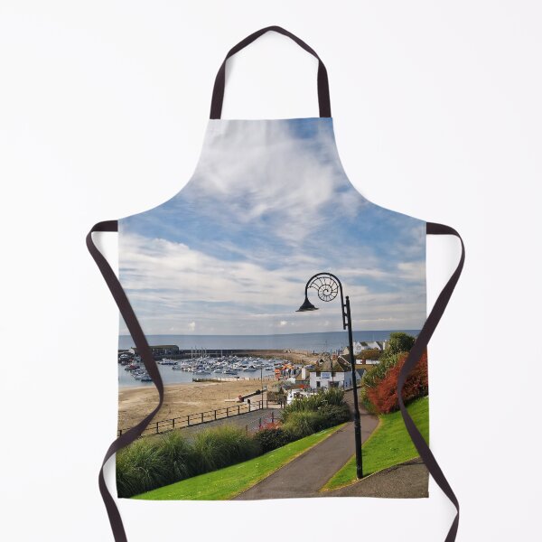 Item preview, Lyme Regis Harbour from Langmoor Gardens designed and sold by galpinimages.