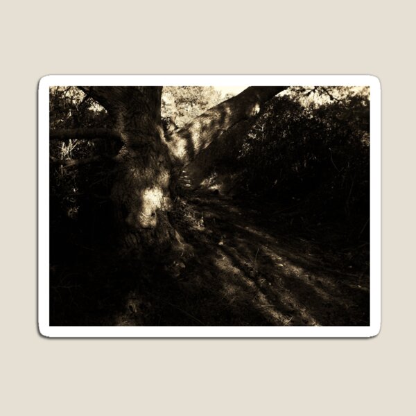 Item preview, Light on the path designed and sold by FlowersRHidden.