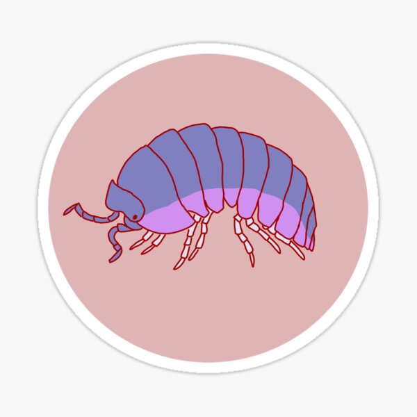 isopod | roly-poly | pill bug Sticker
