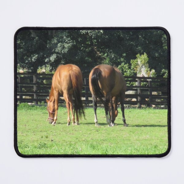 Item preview, #146 |☼| Horses - Shot 2 (Hadrian's Wall) designed and sold by Naean H.F. (Nez Man).