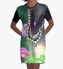 Black swallowtail Graphic T-Shirt Dress