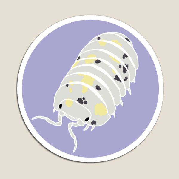 Item preview, armadillidium vulgare "magic potion" designed and sold by bumblechub.
