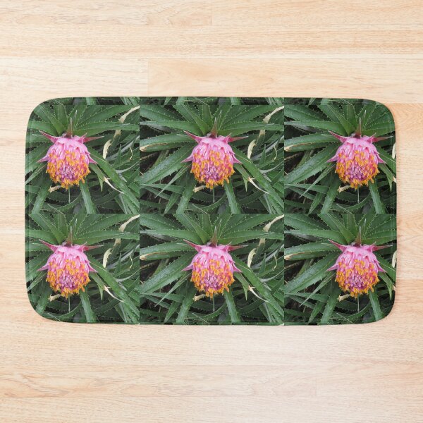 Item preview, Pink and orange bromeliad designed and sold by greentiger1.
