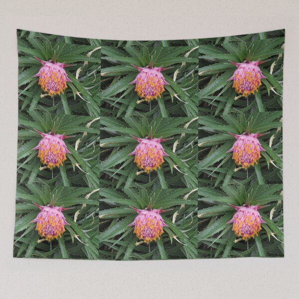 Item preview, Pink and orange bromeliad designed and sold by greentiger1.