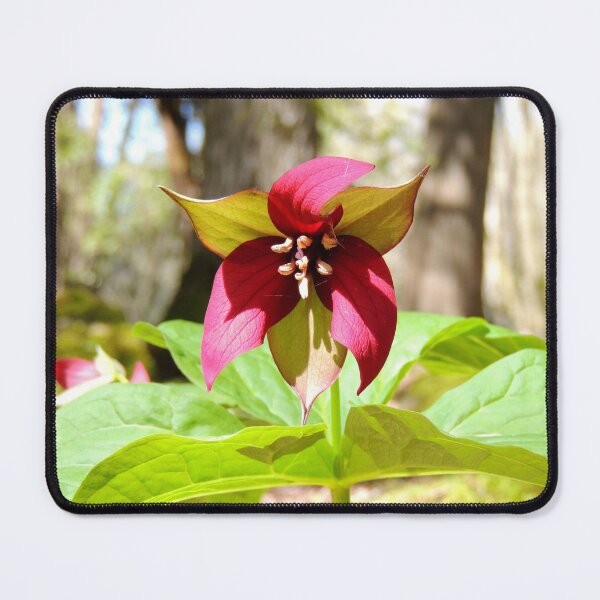 Item preview, Red Trillium designed and sold by ledicarus.