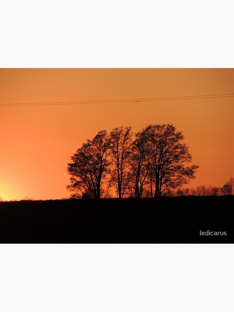 Orange Sunset Sky by ledicarus