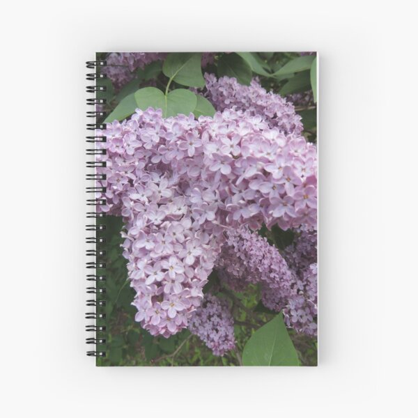Lilacs In Bloom Spiral Notebook