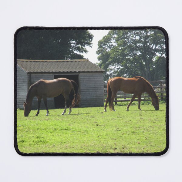 Item preview, #148 |☼| Horses - Shot 4 (Hadrian's Wall) designed and sold by Naean H.F. (Nez Man).